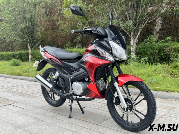 Мопед PROMAX STREET CROSS MAX 150 (49)