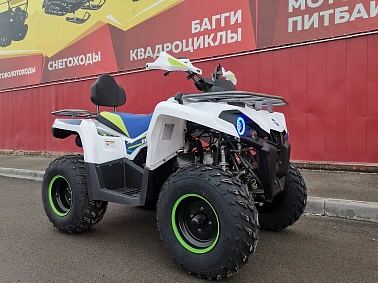 Квадроцикл PROMAX RENEGADE 300 LUX