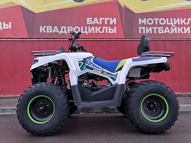 Квадроцикл PROMAX RENEGADE 300