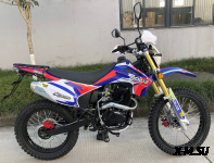 Мотоцикл ROLIZ SPORT-003 ZS172FMM-3A 250 cc с ПТС